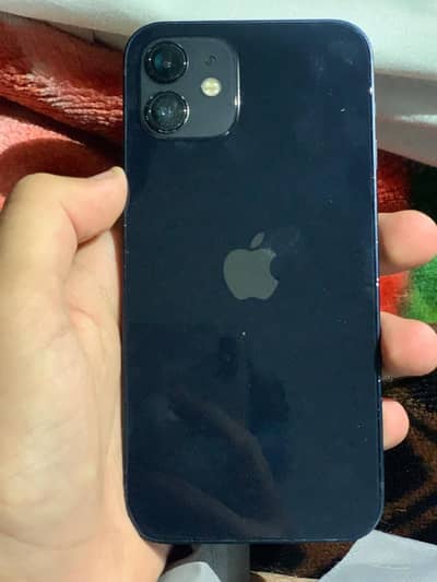 I phone 12 simple