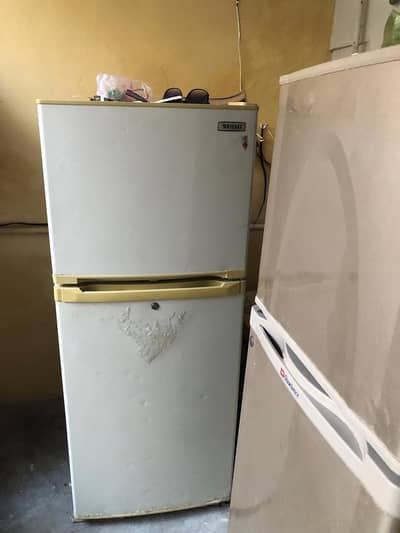 Medium size Orient Frij