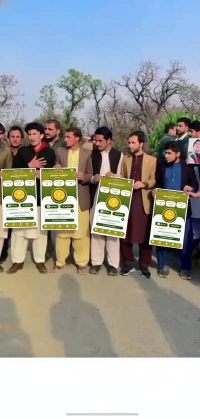 hans by and egg sale  contact only WhatsApp