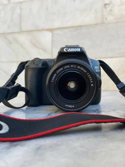 Canon 250D dslr