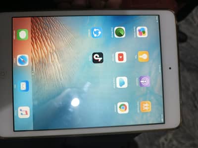 ipad mini 1 16gb WiFi only