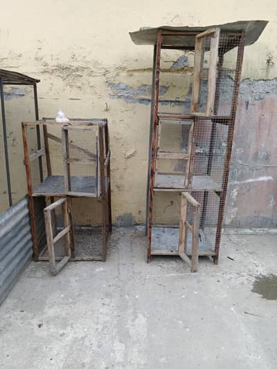 cage for sale whtsap 03361155620