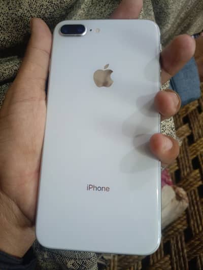 Dubai import 10 by 10 conditions