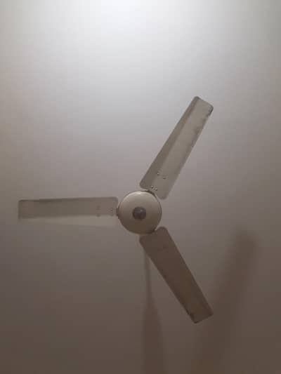 Royal/Pak 3 Fan Urgent Sale