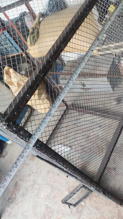 birds cage