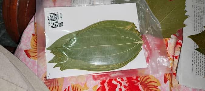 Cinnemon and Maple Pressed Leaves for Resin arts and Laser Engraving