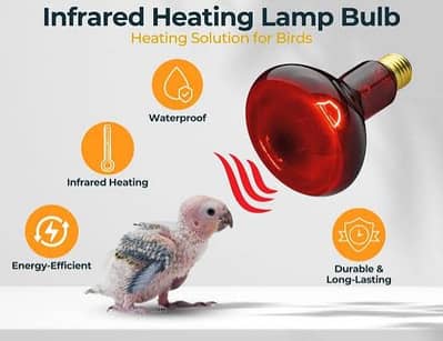 Brooders for chicks / Incubators / heat bulbs ceramic  and infred bulb