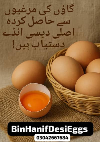 Asli Desi Organic Eggs