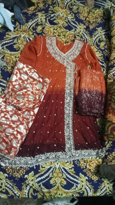 condition excellent medium size