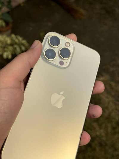 16promax Display Change. .