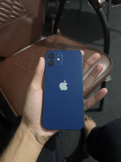 iPhone 12 (128 gb)