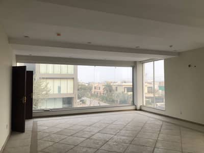 Idol basement ground idol display companies