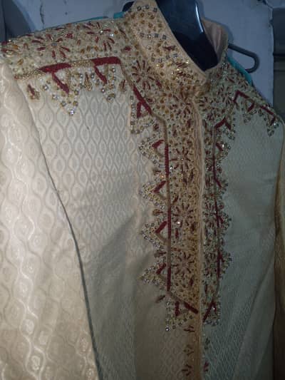 Sherwani  jamawar Kareem color new condition