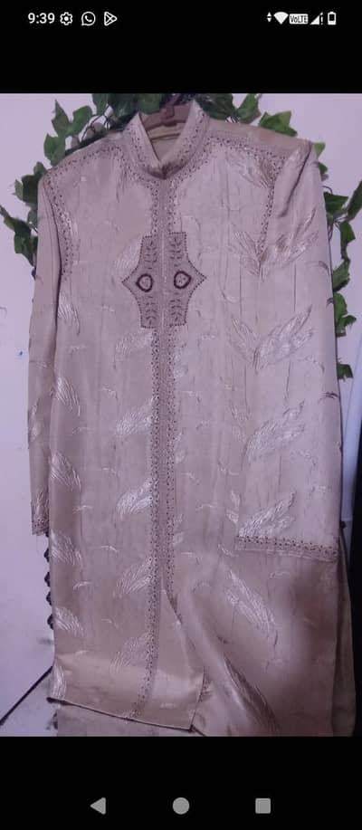 sherwani