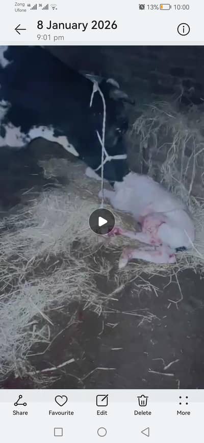 freezin cros 25 litr + 1 din ki soi 6 jan26 kad 6 ft 10 ft lmbi