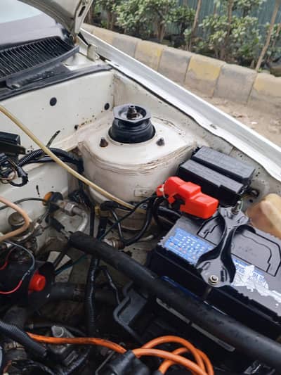 Suzuki culture total genuine hai