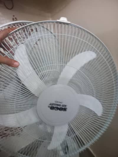 tabal fan