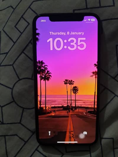 iPhone X pta approved