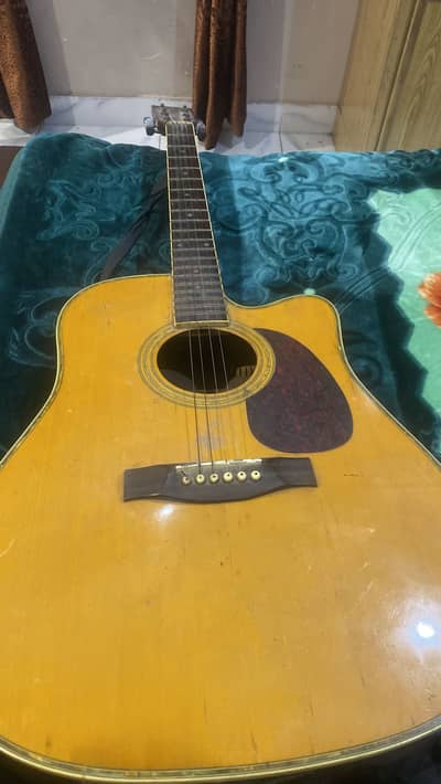 Acoustic Guitar