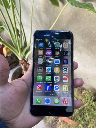 iphone 8plus approved