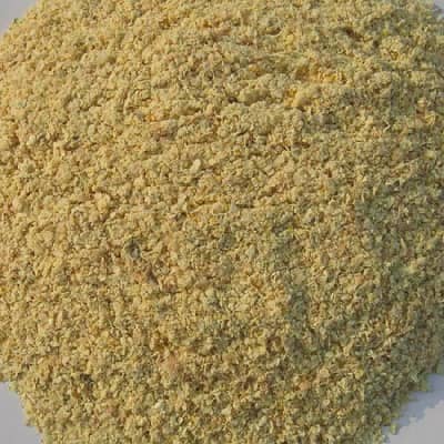 Original Karachi pala for livestock