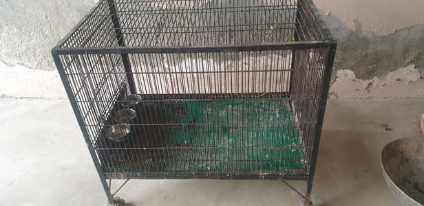 bird cage