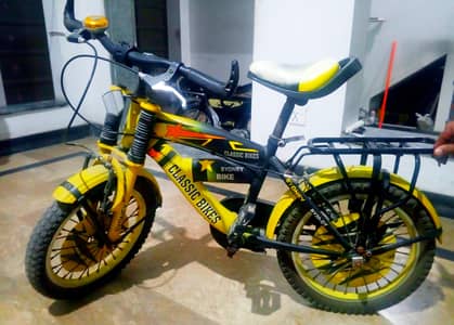 Classic Bicycle For Sale