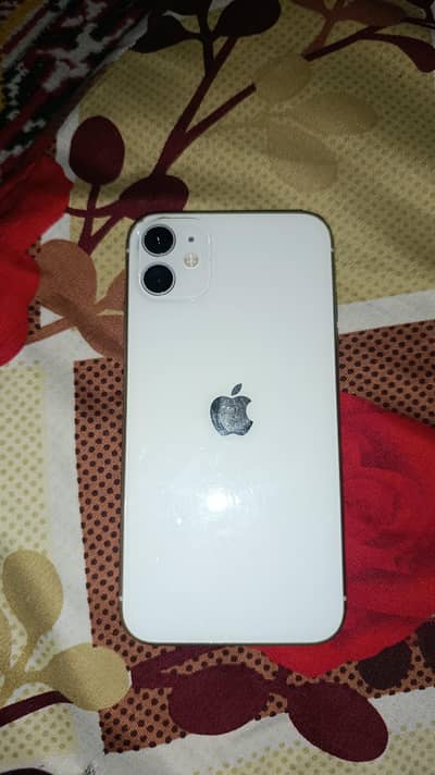 11 white collar non pta