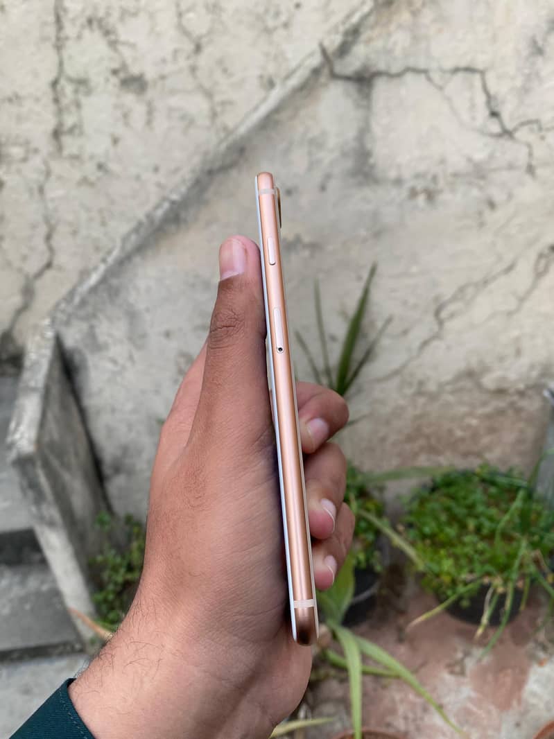 IPhone 8 plus 3
