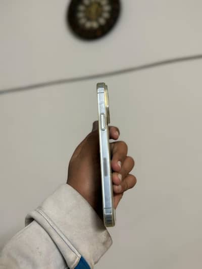 IPHONE 13 PRO MAX NON PTA (FU)