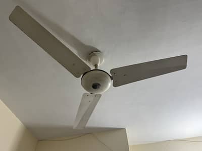 Ceiling fan