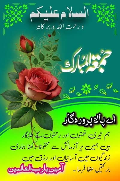 Kisi bhi ka pass cheenia murgia ha to jaldi rabta Karen