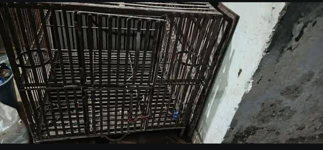 Birds Cage 2ft 10" x 2ft 10"