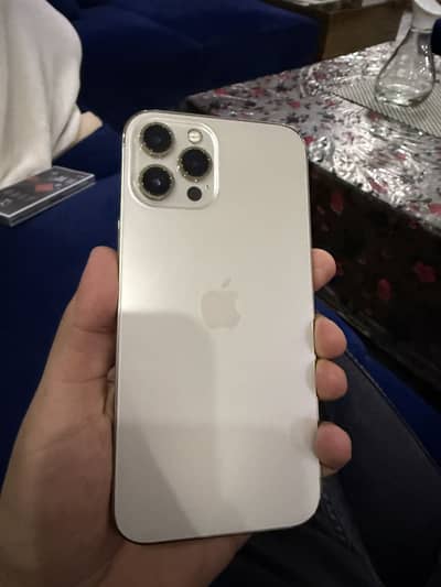 Iphone 12 pro max pta approved