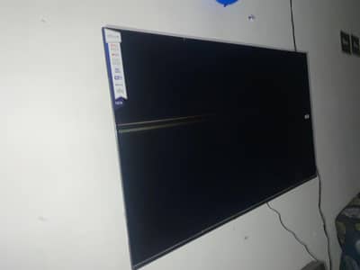 vida company hai UK led hai