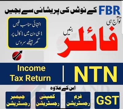 Tax Filing, Income Tax, Tax consultant