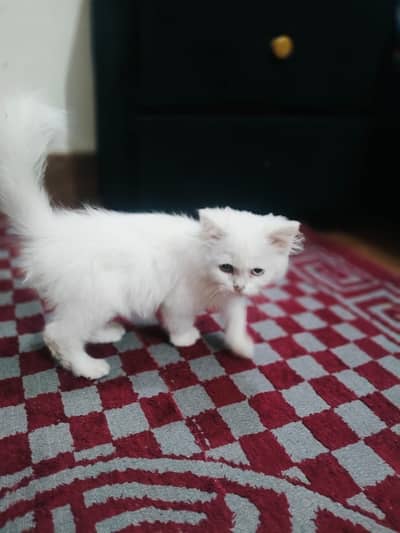 I want to sell it urgently