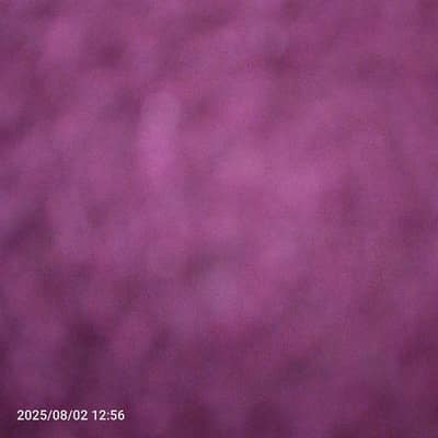 5 Marla Plot Available For Sale In Wapda Town Phase 2 Block Q Multan