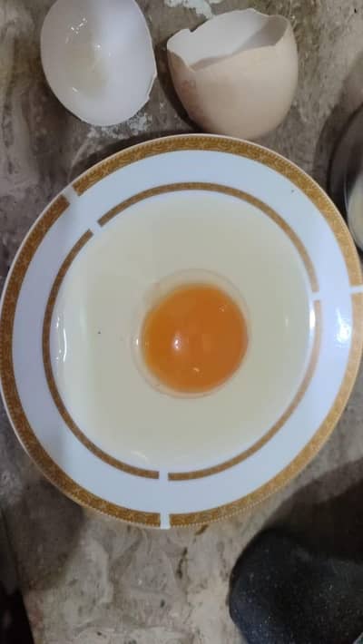 Pure Desi eggs