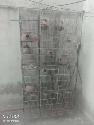 12 khany Wala pinjra