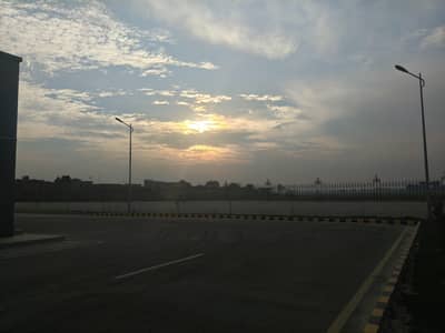 Babysitter Job Well Educated Family