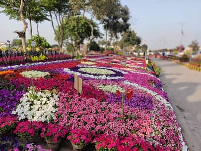 10 MARLA RESIDENTIAL PLOT FILE FOR SALE