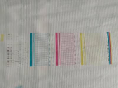 challenger flex machine