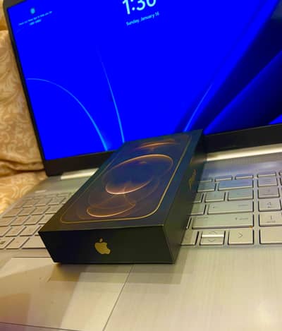 Apple iPhone 12 Pro Max Gold Colour Brand New