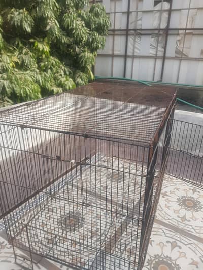 1.5 by 2.5 lron cage net caleen