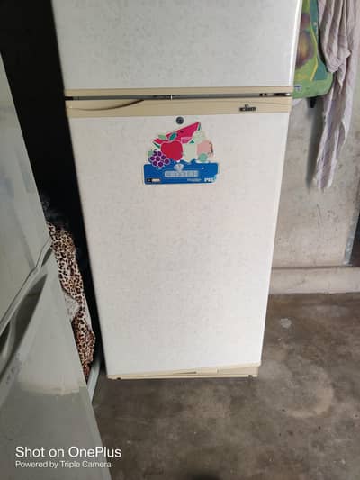 PEL ORIGINAL CONDITION