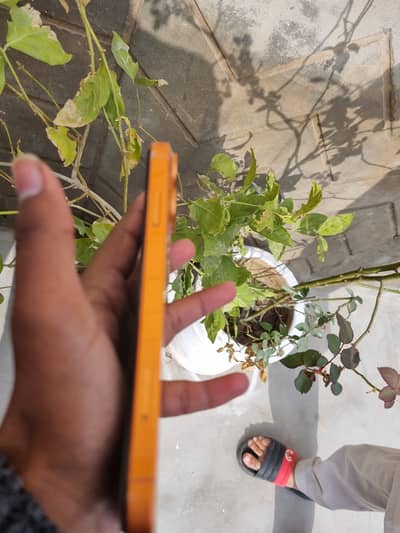 Iphone xr converted to iPhone 17pro