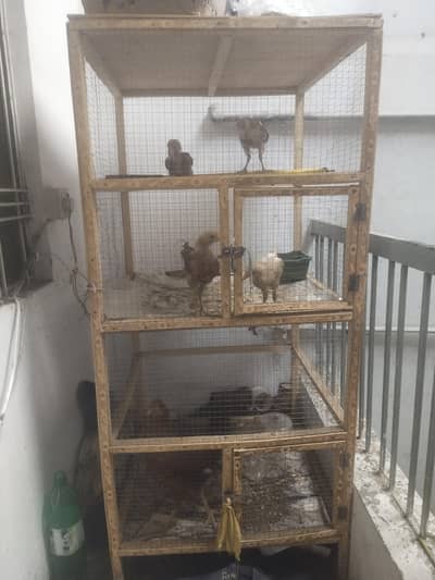 Double cage 4X4 2 month used