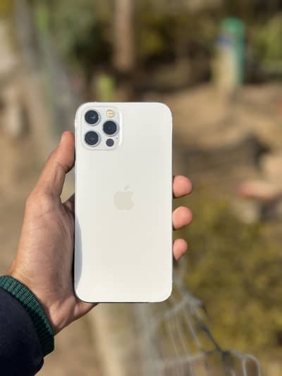 Iphone 12 pro non pta(03309537009)