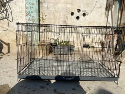 Cage for Sale + Box
